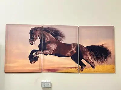Three-panel Horse Canvas Wall Art - Black Stallion