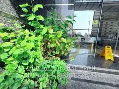 🏡 Excellent Investment Opportunity | 2-Bedroom Apartment for Sale in Al Majaz 3