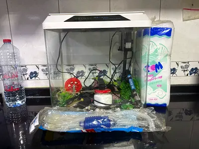 Fish tank for SALE with all working equipment and decorations