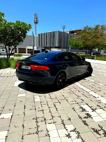 2019 Jaguar XE 照片 6