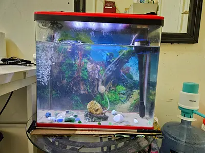 Used Small Fish Aquarium Tank with LED Light and Filter - Ready to Set Up
