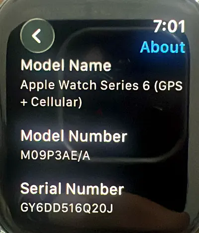 Apple Watch Series 6 (GPS + Cellular) - Good Working Condition