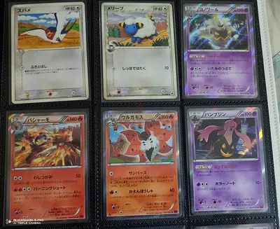 Collection of Japanese Pokémon TCG Cards