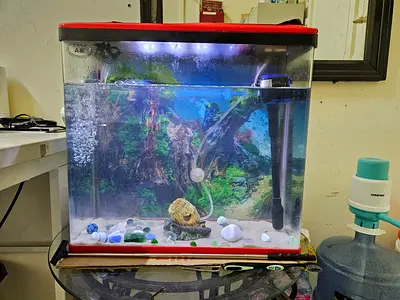Used Small Fish Aquarium Tank with LED Light and Filter - Ready to Set Up
