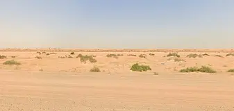 For Sale: Prime Mixed-Use Investment Plot in Al Sahmah A rare investment opportunity to acquire a st