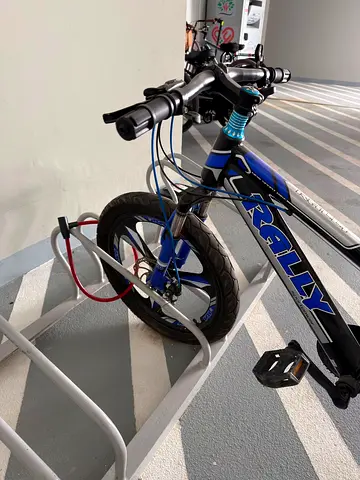Rally Mountain Bike