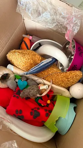 Box of mixed small pet toys, bowls and accessories — used