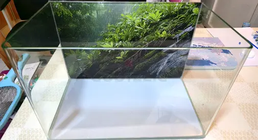Fish Tank for 50Dhs only