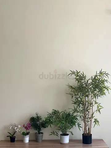 Set of 5 Decorative Potted Artificial Plants - Assorted Sizes
