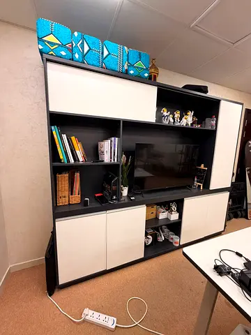 Modern Storage Cabinet / Bookcase with Shelves
