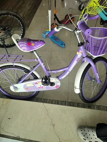 Purple James Jordan Kids Bicycle with Basket