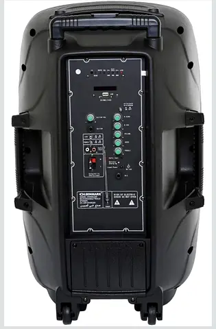 Portable Trolley Speaker with Wireless Microphone and Remote Control