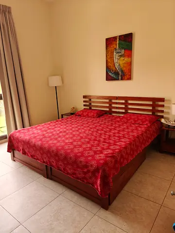 Master bed (Mango wood) with storage & side table