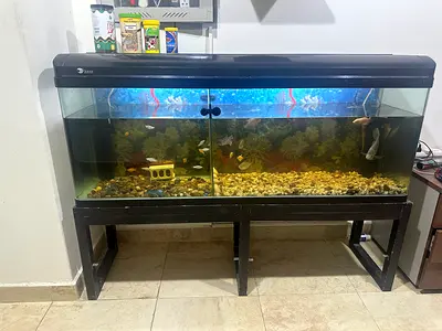 Aquarium