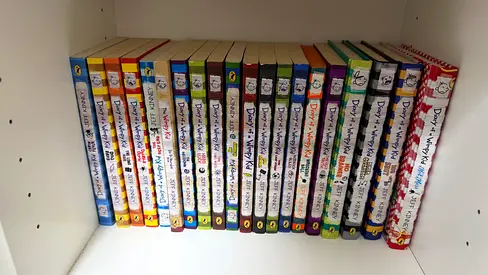 20 diary of a wimpy kid books