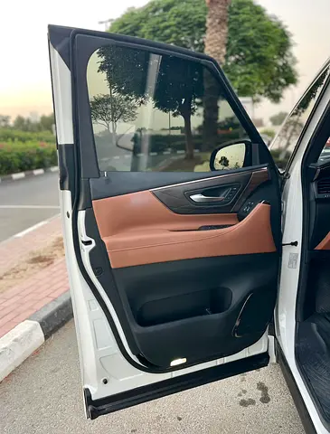 2024 Toyota ALPHARD 照片 17