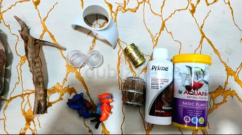 Acquarium Kit for 99 Dhs