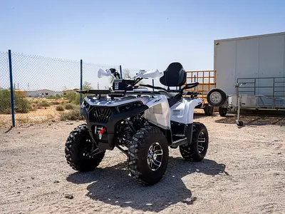 ATV / Quad Bike | 320 cc | Sharmax