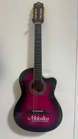 Steiner Guitar For Sale - Brand New
