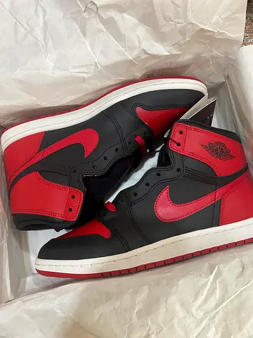 DS Jordan 1 Bred 2025