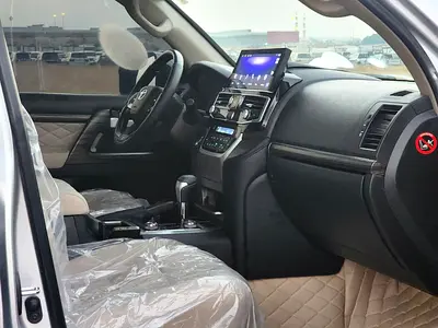 2009 Toyota LAND CRUISER 缩略图 17