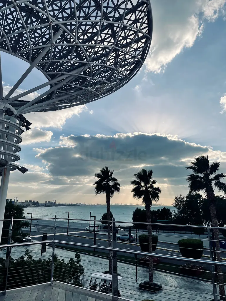 DPV_View_Image_4
