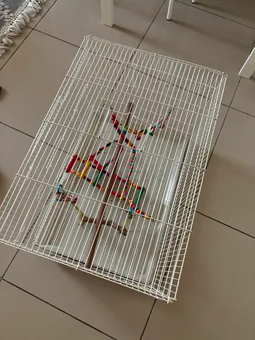 White metal bird cage with perches - good condition