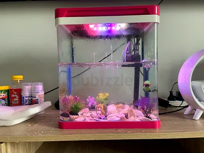 Small Pink Fish Tank with LED Light and Filter included with all decoration accessories
