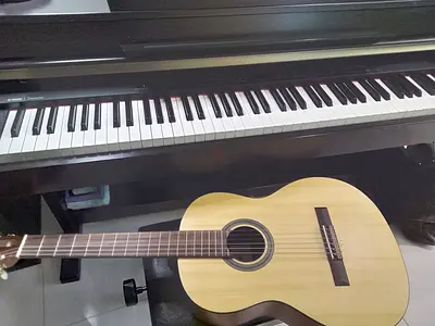 Piano Guitar Singing private classes