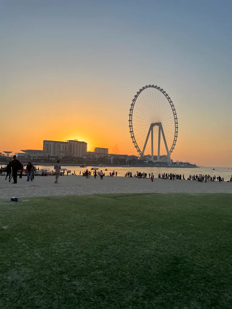 DPV_View_Image_1