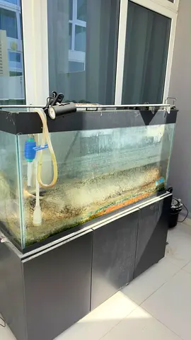 Large used aquarium tank with cabinet - needs cleaning + free filter