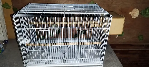 Birds Breading cage.