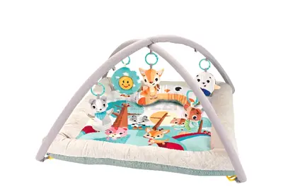 Baby mat with tent