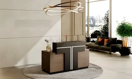Modern Office Reception Desk UAE