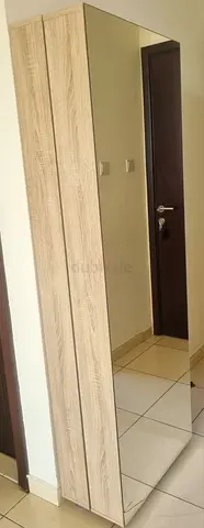 Single Door shoe rack with Full Length Mirror