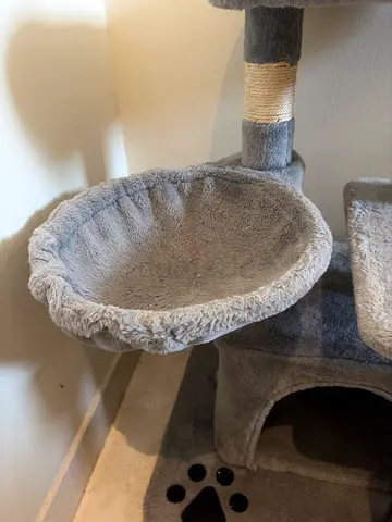Old cat tree