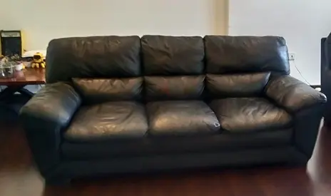 Leather Sofa