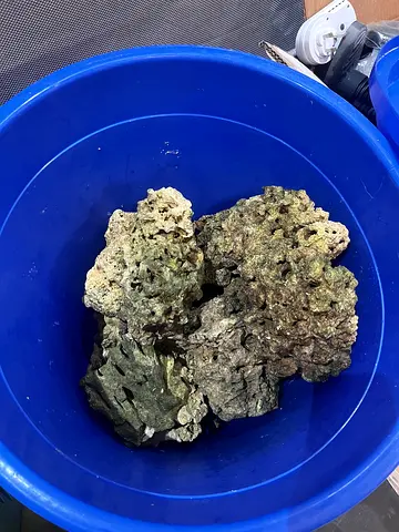 Natural Live Rock Pieces for Saltwater Aquarium - Good Condition
