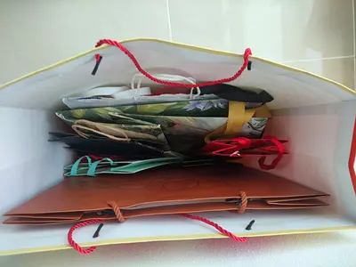Assorted Paper Gift Bags - Pack of Decorative Shopping Bags