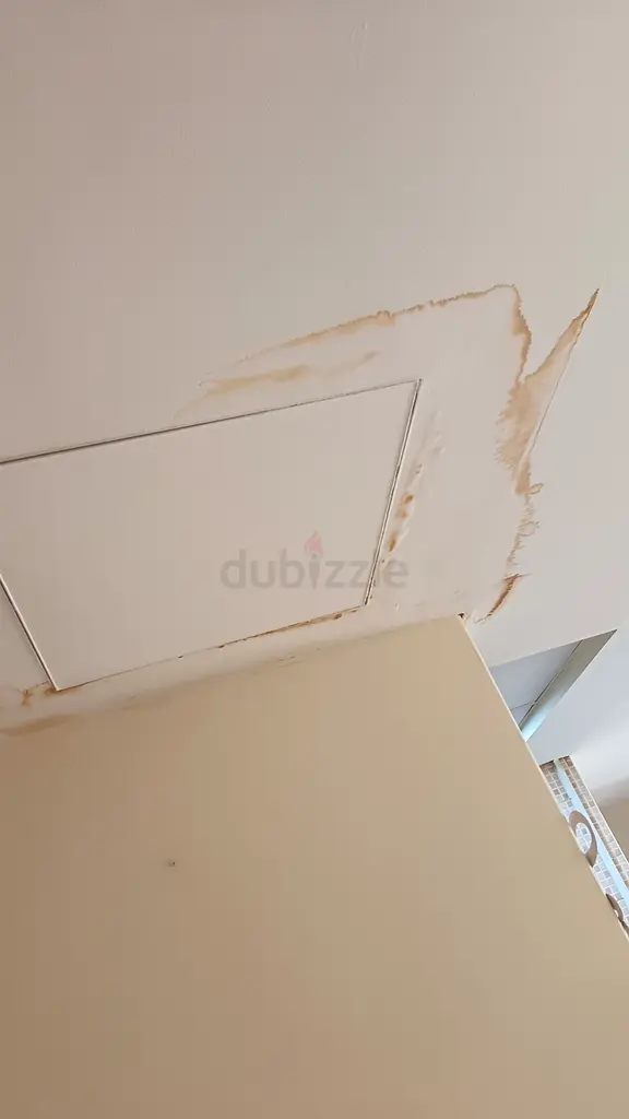 DPV_View_Image_0