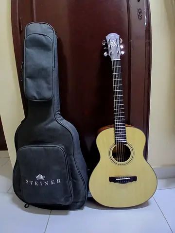 Steiner guitar with bag in very affordable price