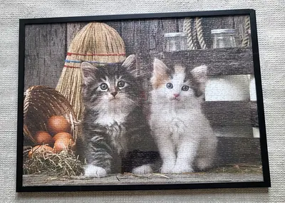 Jigsaw Puzzle Framed (ready to hang) - Cats