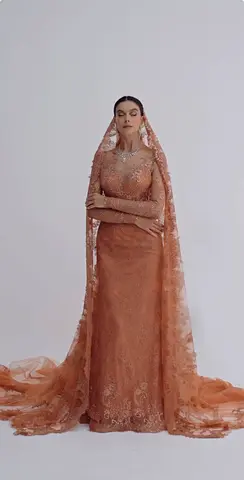 Elegant embroidered long-sleeve bridal gown with matching veil