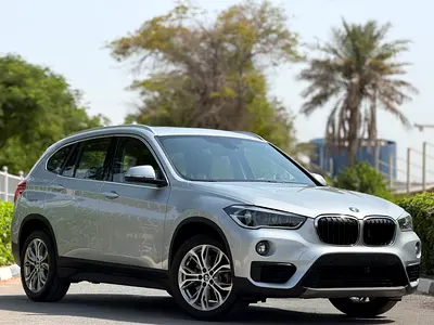 BMW X1 sDrive20i 2019 (Original Paint – GCC – No Accidents – Premium Condition)
