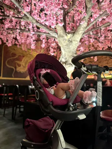 Stokke xplore