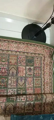 Used Persian-style area rug, green border, good condition