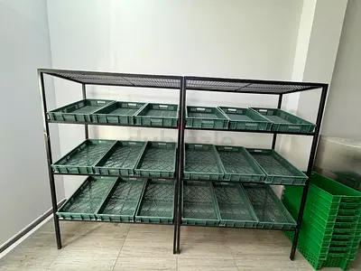 Vegetable display Rack for sale