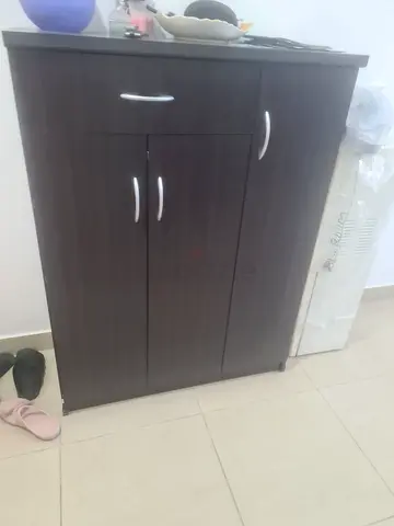 Dark Wood Shoe Cabinet and Storage Cupboard