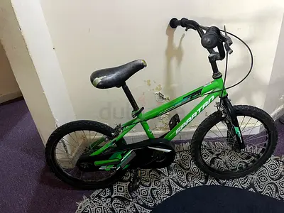 Used green 18-inch Spartan kids bicycle — good working condition