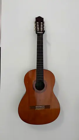 Classic acoustic Guitar